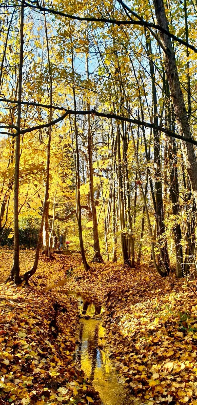 The Joy of Seasonal Living: A Path to Finding Your Authentic Rhythm