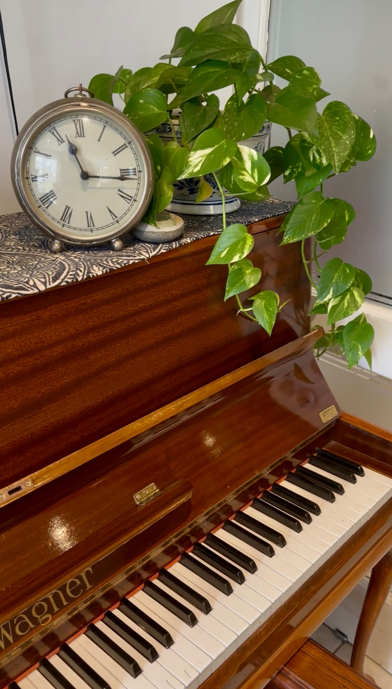 The Slowsteading Benefits of Caring for Houseplants