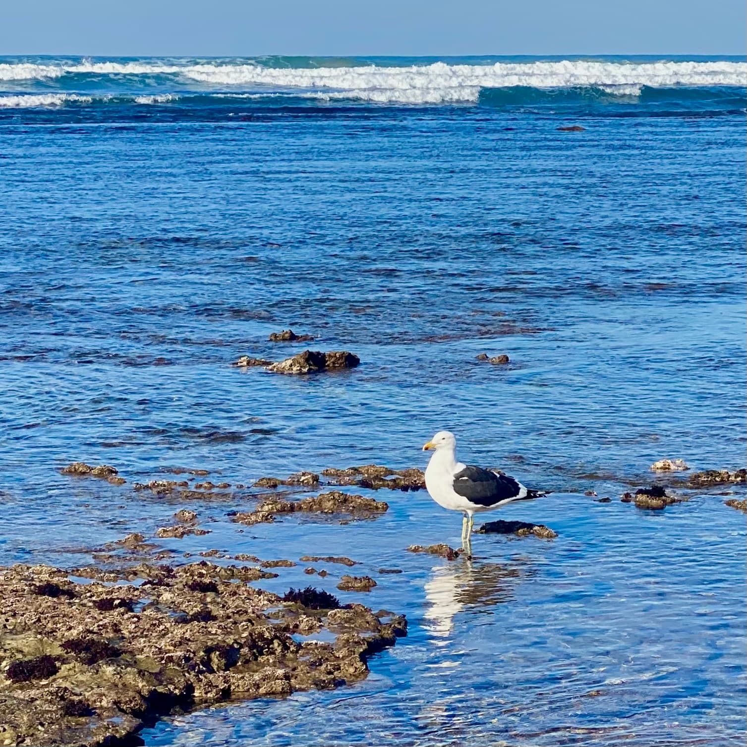 Intentional Gratitude
