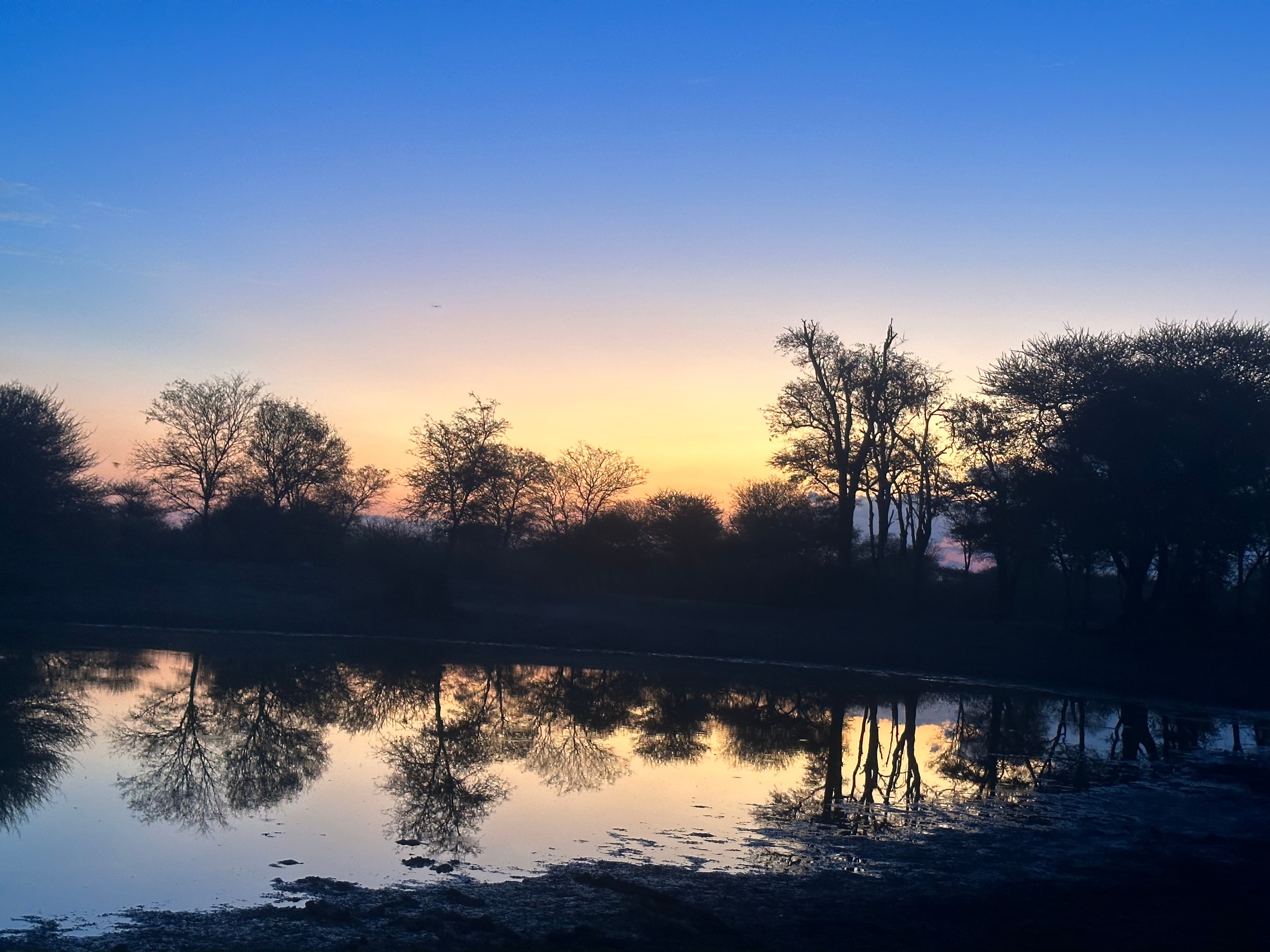 The Healing Power of Slow Living: Making Positive Decisions for Emotional Transformation