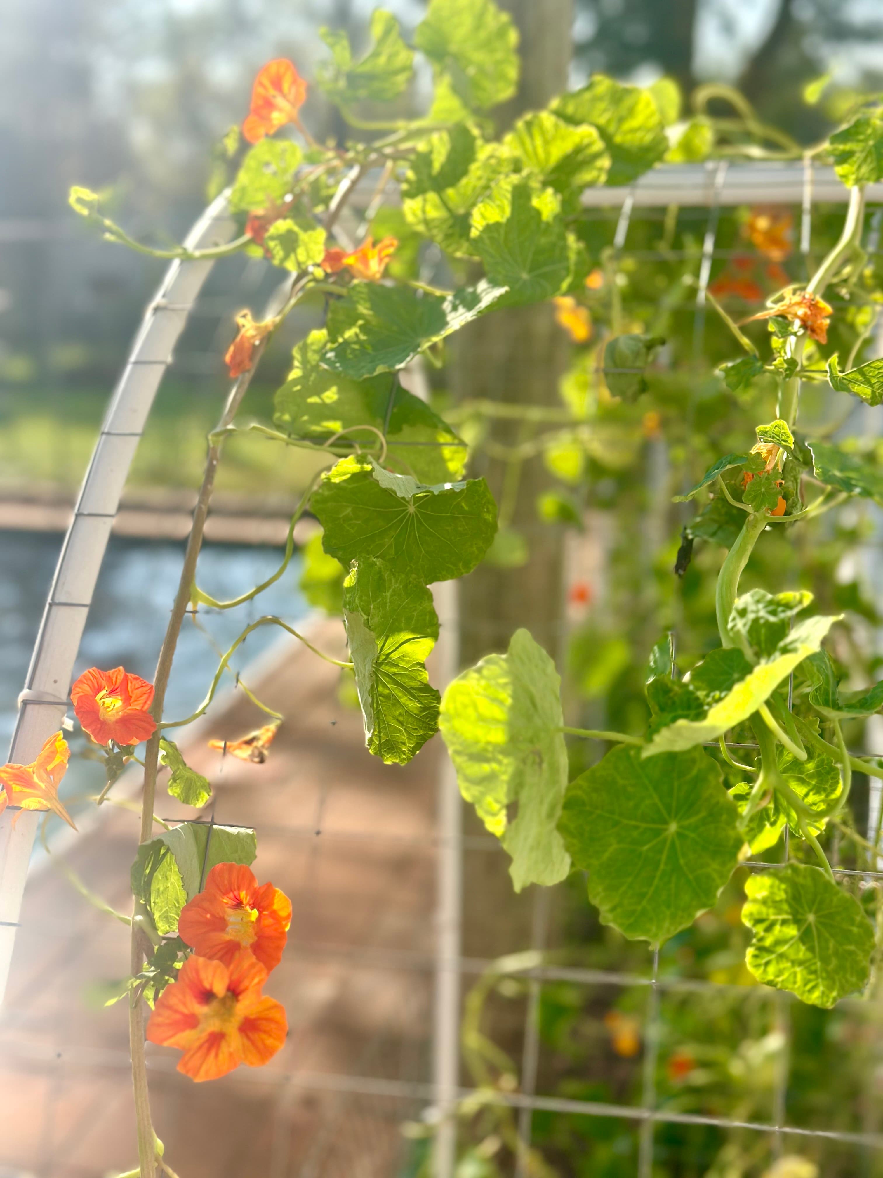 Start Where the Dirt Is Soft, Utilizing These Completely Doable First Steps