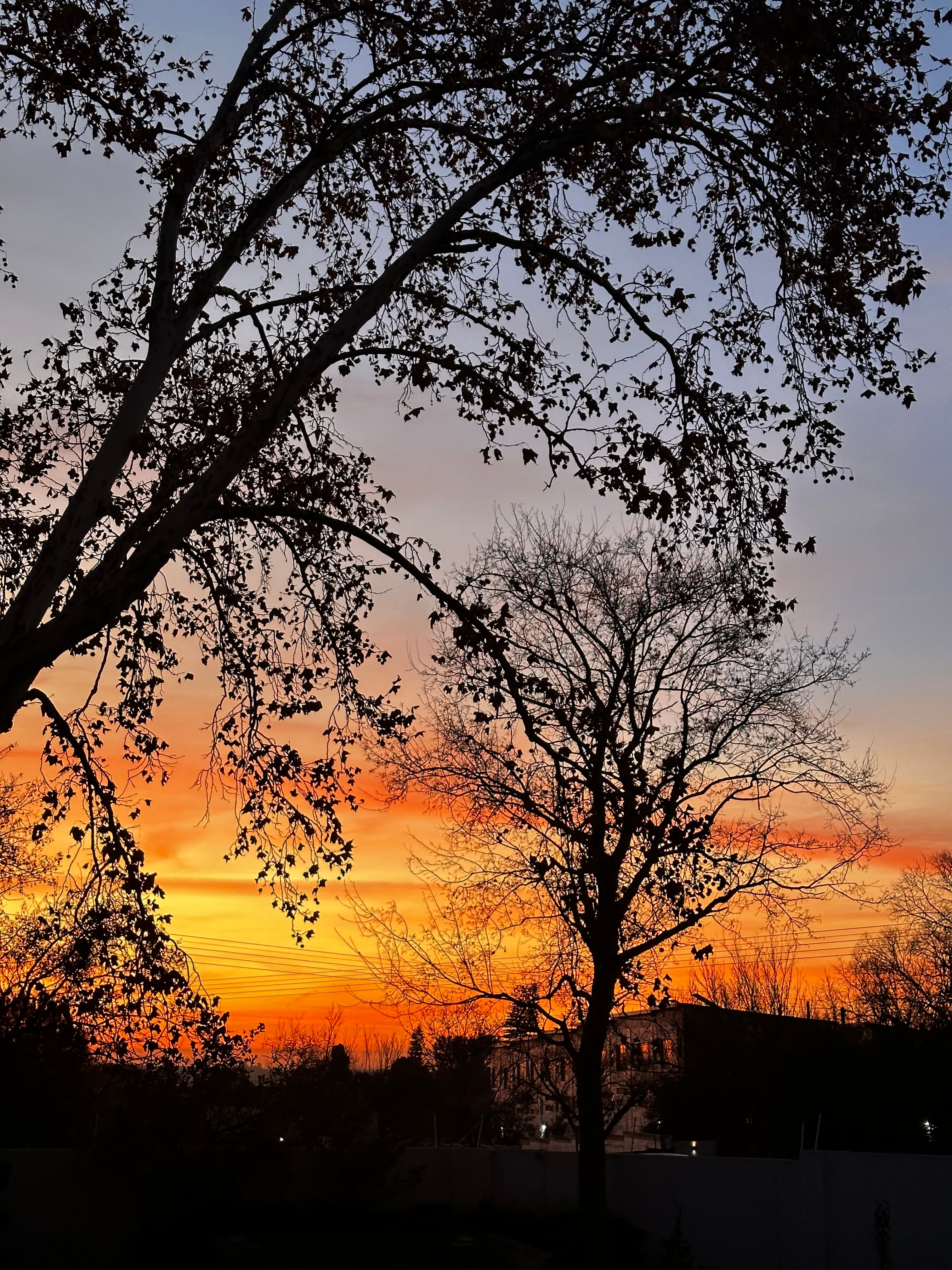 Avoiding Homesteading Burnout: Embracing the Slow Steading Approach
