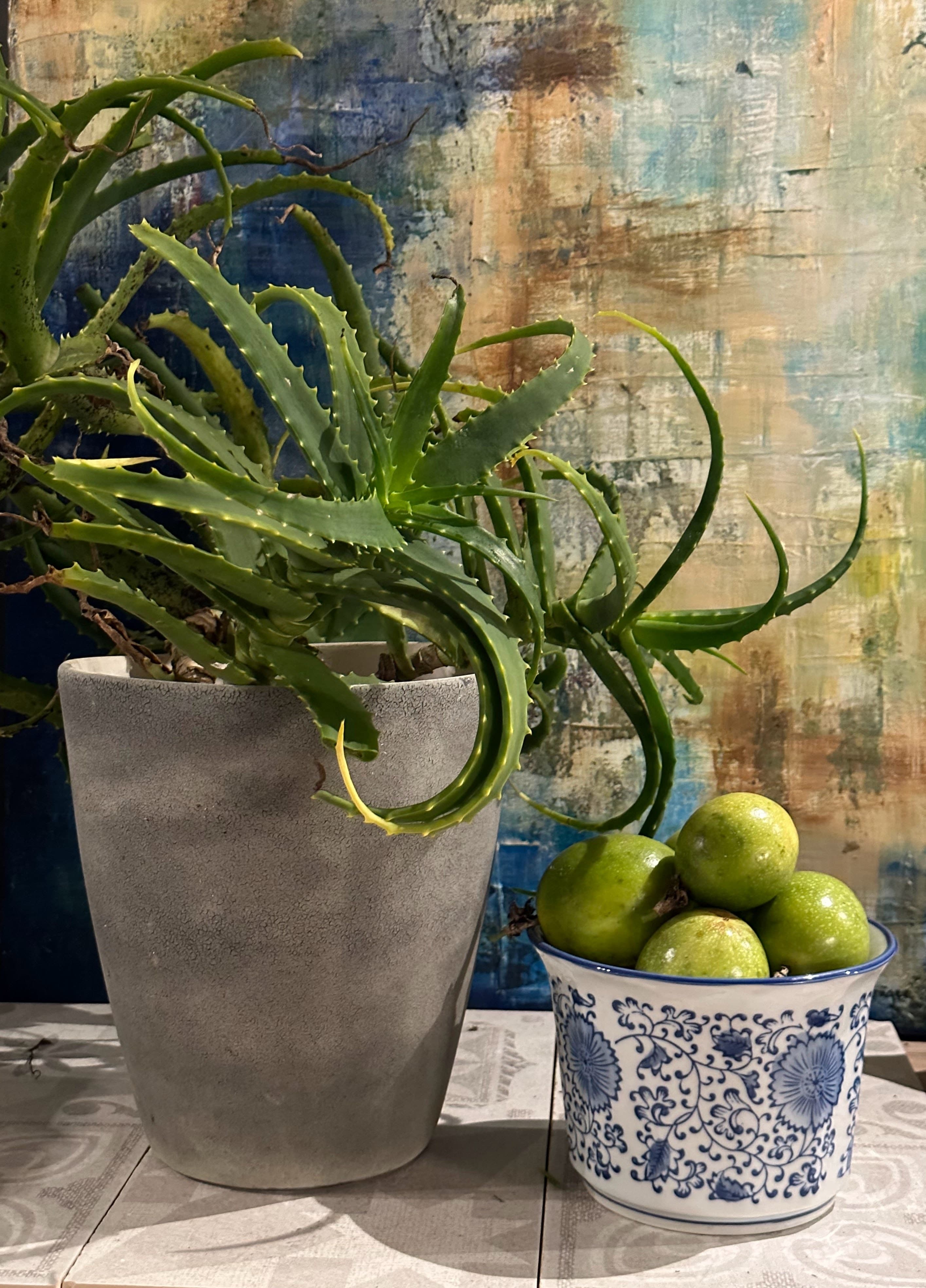 Embracing Slow Living Adjustments Instead of New Year's Resolutions